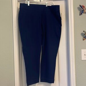 Update your Fall wardrobe with these beautiful blue pants!